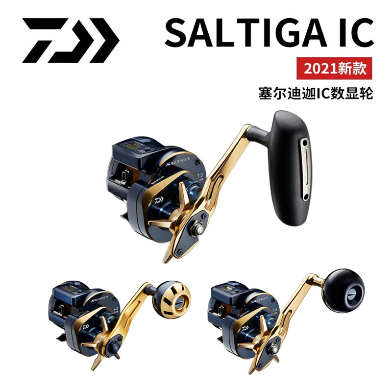 21 Japanese DAIWA Daiwa SALTIG - Baitcasting Reel 评论和价格